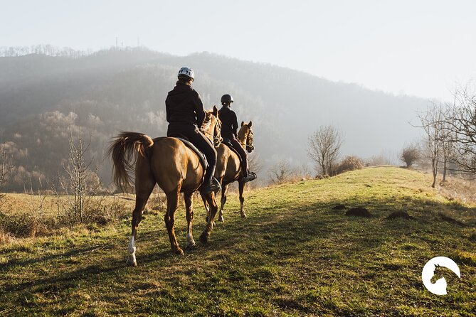 Horseback riding for experts between the lake and the mountains - Lake Como to Lago di Annone: The Ride’s Best Reason to Exist
