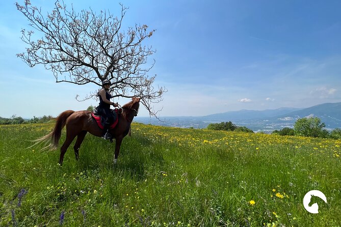Horseback riding for experts between the lake and the mountains - The First Big Phase: Forest Trails and Mountain Path Energy