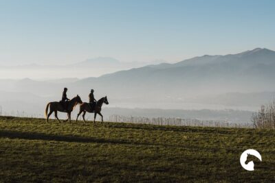 Horseback riding for experts between the lake and the mountains - How the Riding Time Is Structured (And Why Experts Will Enjoy It)