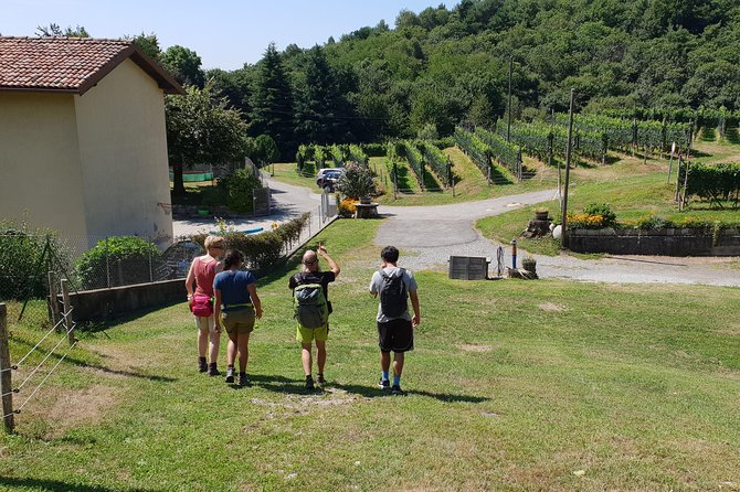 Lake Como Rebels: Adventure day in Spina Verde Regional Park - Off-the-beaten-path trail time above Como (and what to watch for)