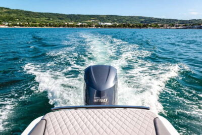 Lake Como: Shared Group or Private Boat Tour - Price and the extra fees you should budget for