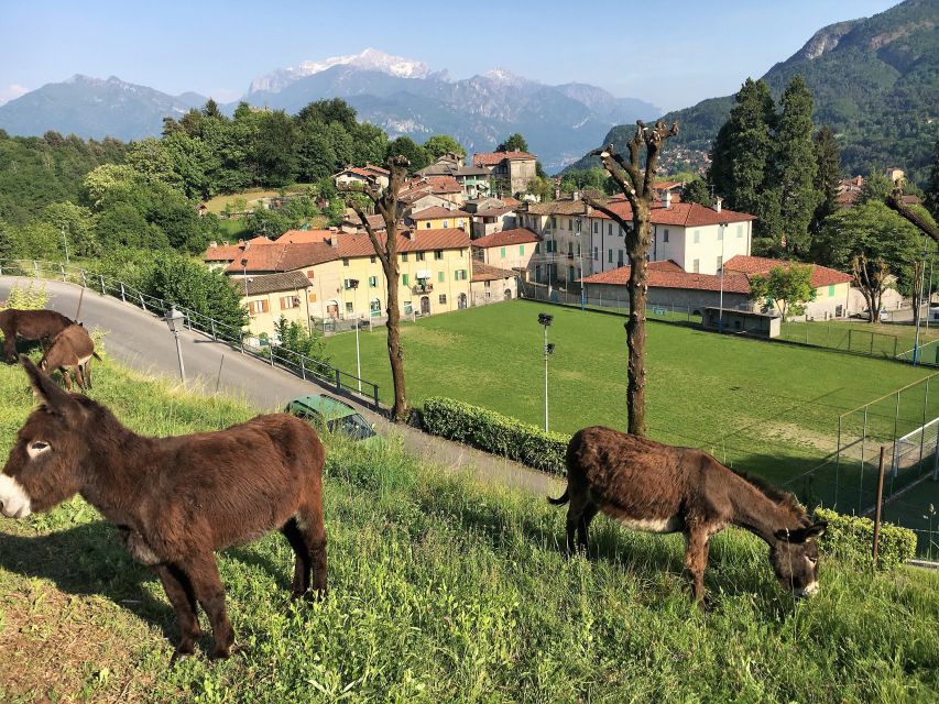 Lake Como to Lake Lugano: E-Bike Three Panoramic Lakes - Why this Como-to-Lugano e-bike loop feels like a real side of the lakes