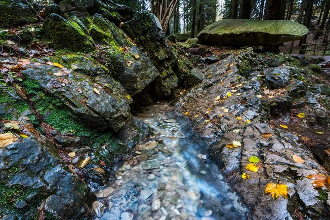 Lake Como trekking private guided tour, from Milan - Getting In and Out: Pickup From Your Milan Hotel