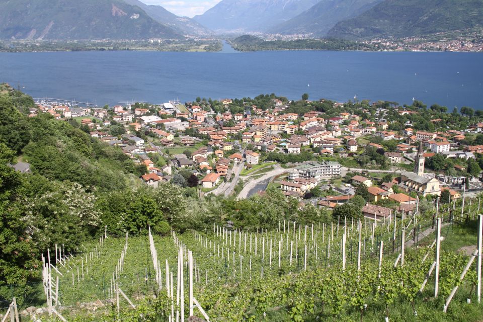 Lake Como: Winery Tour with Wine Tasting - Getting There: Car, Bus, or the Lake Boats (Plan This Part Early)