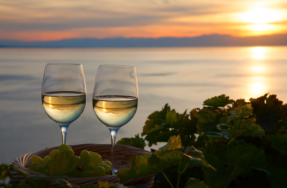 Lake Como: Winery Tour with Wine Tasting - Family-Run Hospitality: What Makes Hosts Like Silvia So Effective