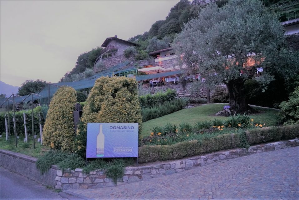 Lake Como: Winery Tour with Wine Tasting - Price and Value: Is $74 Worth It in Lake Como?