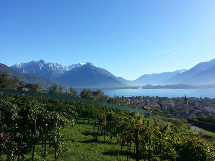 Lake Como: Winery Tour with Wine Tasting - Who Should Book This Lake Como Winery Tour (and Who Might Skip It)