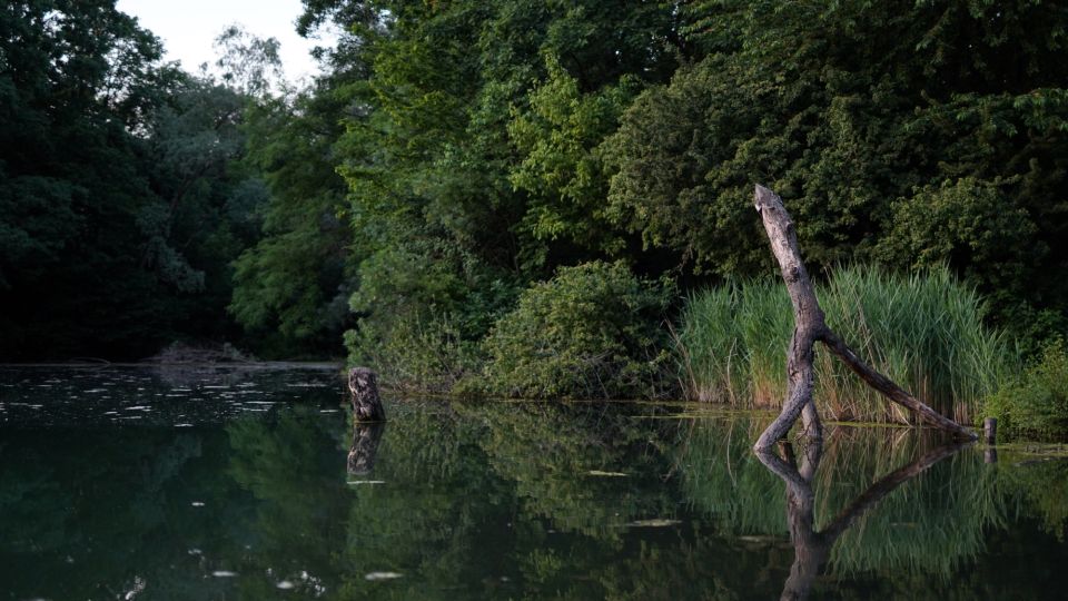 Milan: Bike Tour with Picnic on the turtle lake - Food and Drink: The Lakeside Picnic Snack That Makes the Tour Feel Complete