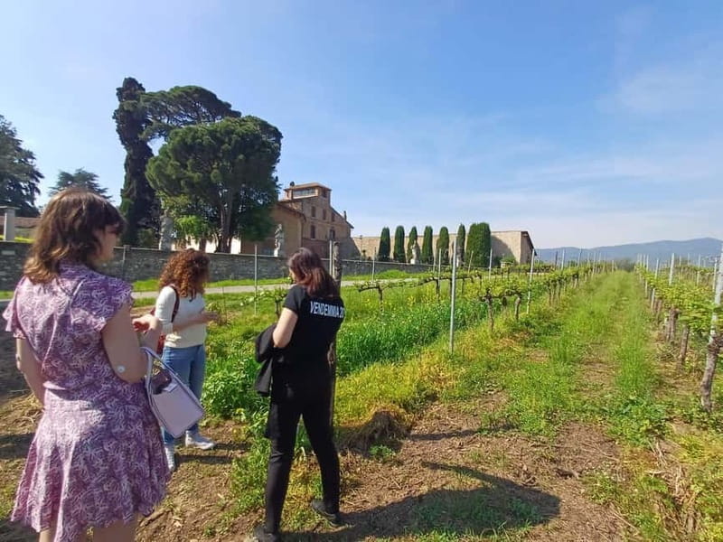 Milan: Brescia & Franciacorta with Wine Tasting Small Group - From Milan meeting point to the Brescia start line