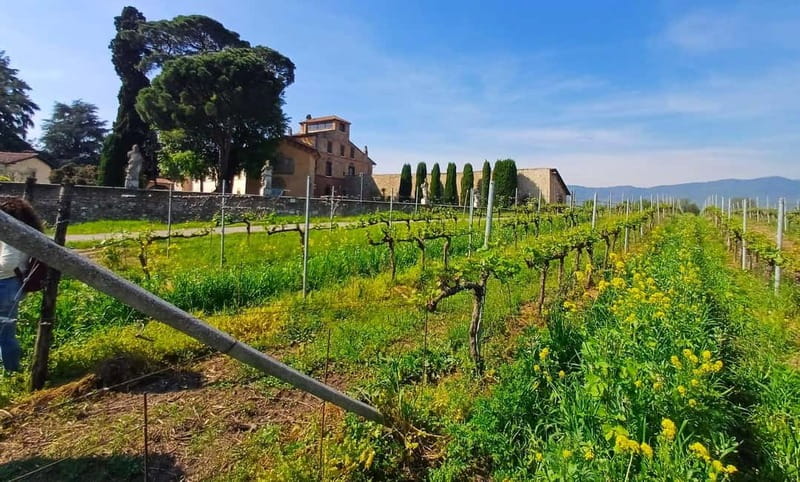 Milan: Brescia & Franciacorta with Wine Tasting Small Group - Franciacorta winery visit: how the tour teaches the traditional method