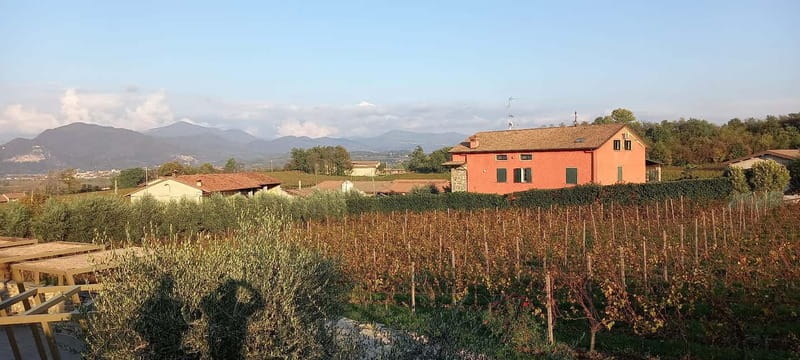 Milan: Brescia & Franciacorta with Wine Tasting Small Group - Price and value: is $214.11 worth a 10-hour day?