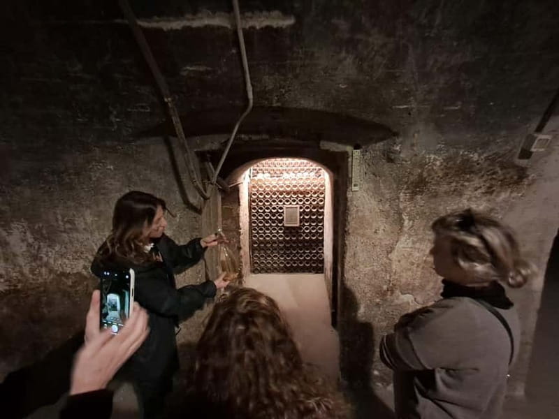 Milan: Brescia & Franciacorta with Wine Tasting Small Group - Who this tour fits best (and who should skip it)