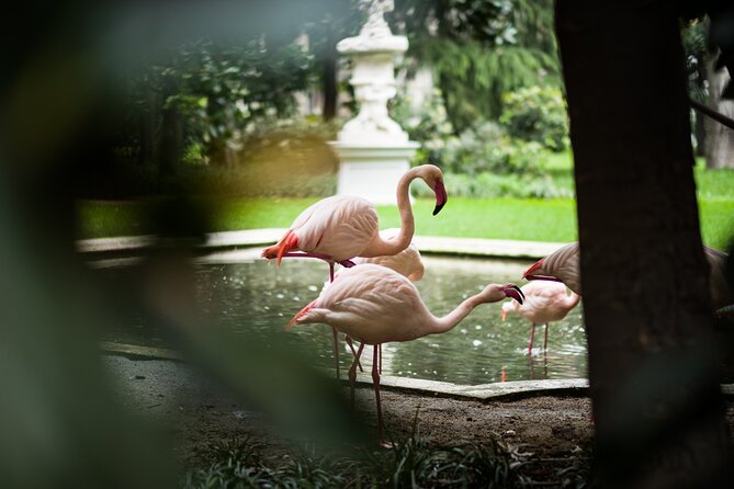 Milan Private Sightseeing Tour for Kids and Families with Local Guide - The guides and what’s included: private attention that actually matters