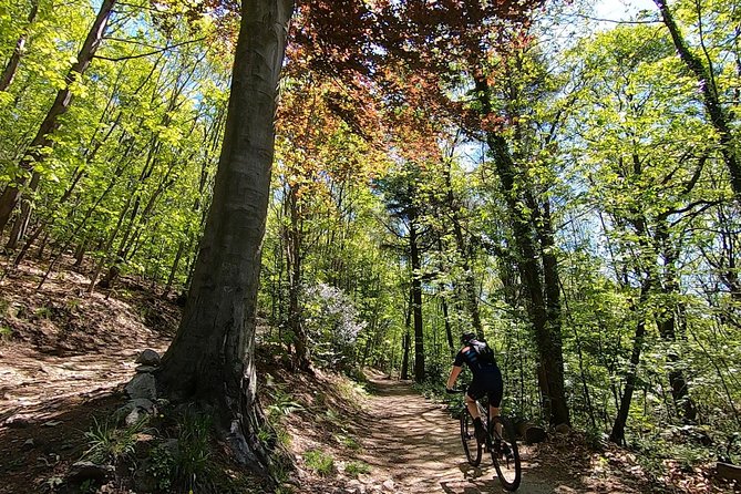 Mountain Bike tour in Spina Verde natural park - Key points at a glance
