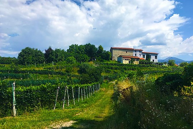 Mountain Bike tour in Spina Verde natural park - What you’ll do first: Parco Spina Verde (and why the opening matters)