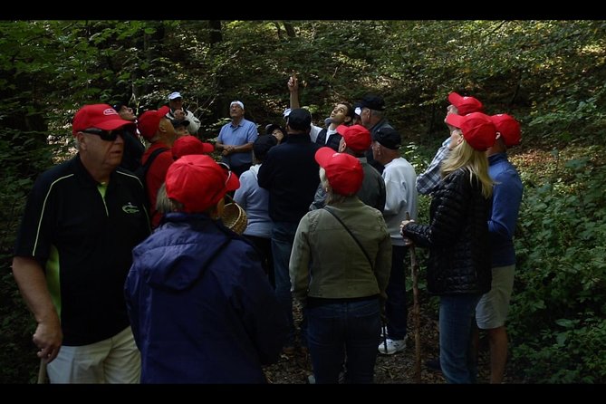 Mushroom or Truffle Hunting - The Set-Up: Why This Hunt Works So Well