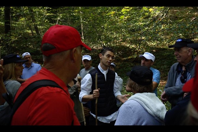 Mushroom or Truffle Hunting - Price and Value: Is $259.68 Worth It?