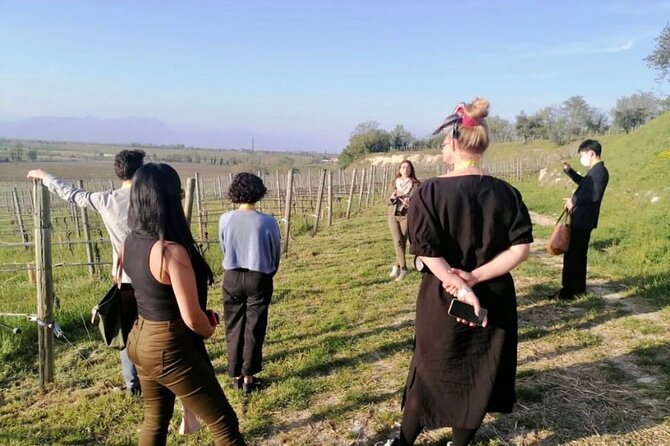 Picnic and Lugana Tour at Perla del Garda winery - The Perla del Garda Setting Makes the Picnic Feel Like Part of the Wine