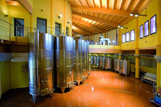 Picnic and Lugana Tour at Perla del Garda winery - Vineyard Picnic Details: What’s in Your Basket (and Why It’s Done This Way)