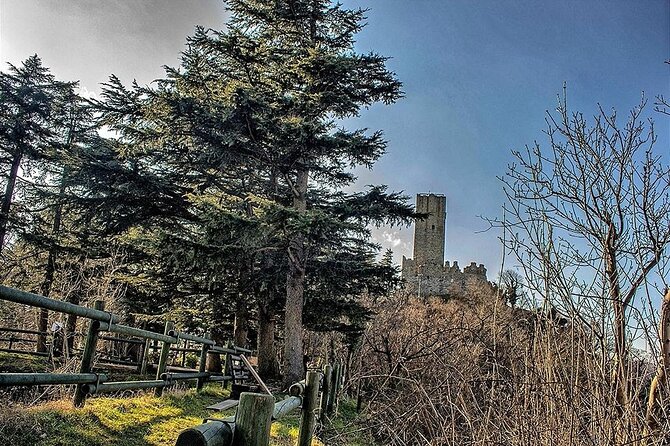 Private 2-Hour Tour of the Medieval Castle over Lake Como - From Spina Verde up to Castello Baradello: the real shape of the tour