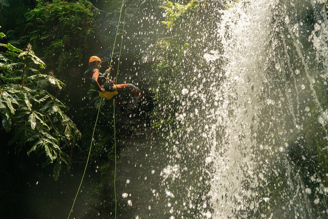 Private Half Day Canyoning Tour in Gordona - Price and value: what you’re paying for at $242.25 per person