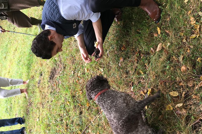 Private Hunting Of Truffle And Mushrooms With Chef Luigi Gandola In Bellagio - Charlotte’s nose: why a trained truffle dog changes everything