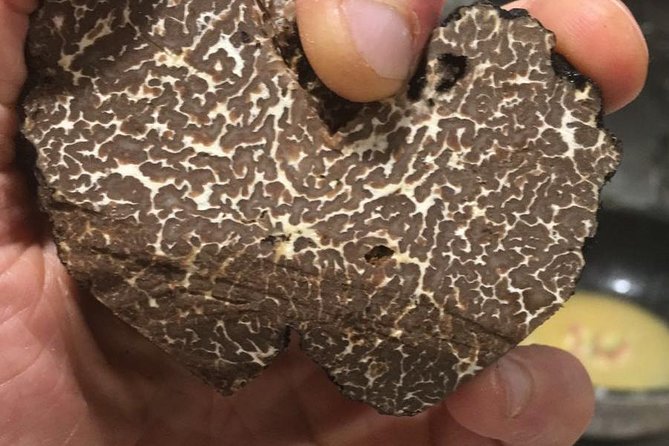 Private Hunting Of Truffle And Mushrooms With Chef Luigi Gandola In Bellagio - Pickup options around Lake Como: save time or keep it simple
