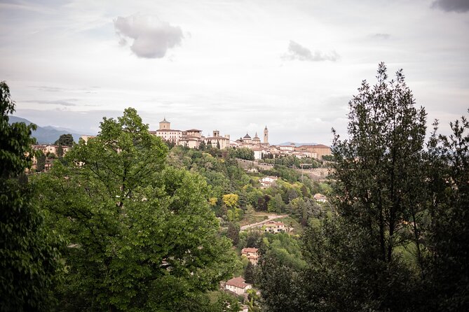 Private Italian lessons in Bergamo - Food, gelato, shops, and the real-life speaking moments