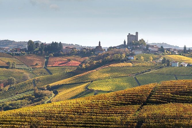 Private Langhe and Barolo Wine Tour from Milan - Stop 2: Barbaresco Visit, Vineyards, and the Producer Perspective