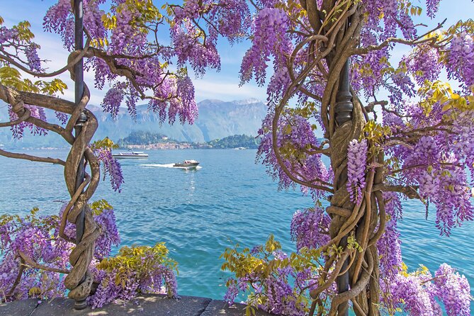 Private Tour: Lake Como From Milan with Private Driver and Boat - Price and value: where $720.84 makes sense