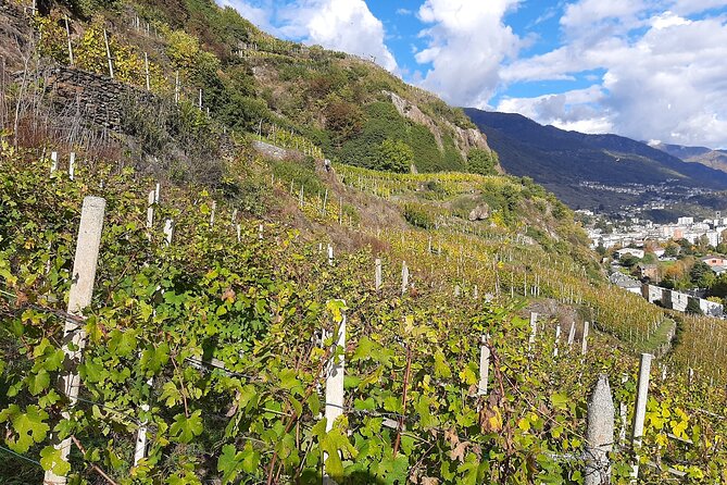Private Wine Tour: Terraced Vineyards with Alpine view from Milan - Lake Como first: a scenic train leg before the vines