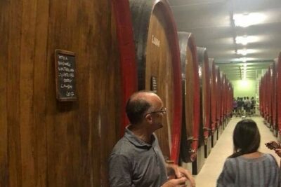 Private Wine Tour: Terraced Vineyards with Alpine view from Milan - Morbegno and the underground cellars: where wine and food culture meet