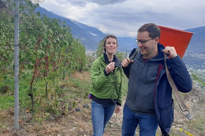 Private Wine Tour: Terraced Vineyards with Alpine view from Milan - Winery visit one: your first real look at how the region tastes