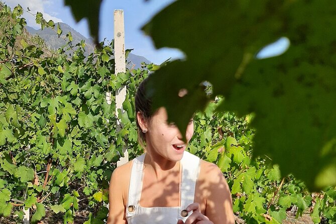 Private Wine Tour: Terraced Vineyards with Alpine view from Milan - Lunch on your own: build a budget, not a surprise