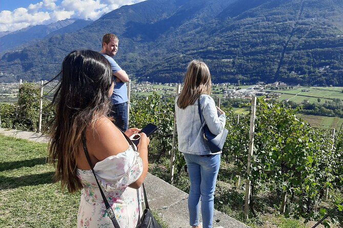 Private Wine Tour: Terraced Vineyards with Alpine view from Milan - Winery visit two: second stop, better comparisons