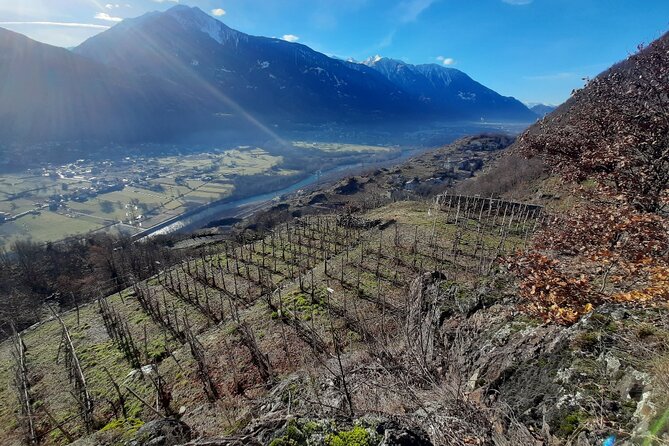 Private Wine Tour: Terraced Vineyards with Alpine view from Milan - Back to Lake Como and into Milan: the return train keeps it easy