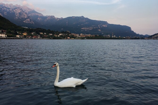 Sailing at Sunset on Lake Como: How to escape from daily routine - Stop 4: Monte Resegone views that only make sense from the lake