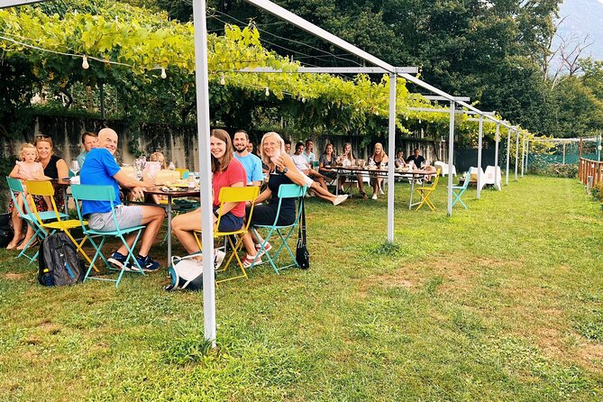Savor Ossola Wines & Local Treats in a Scenic Vineyard - Key things to know before you go
