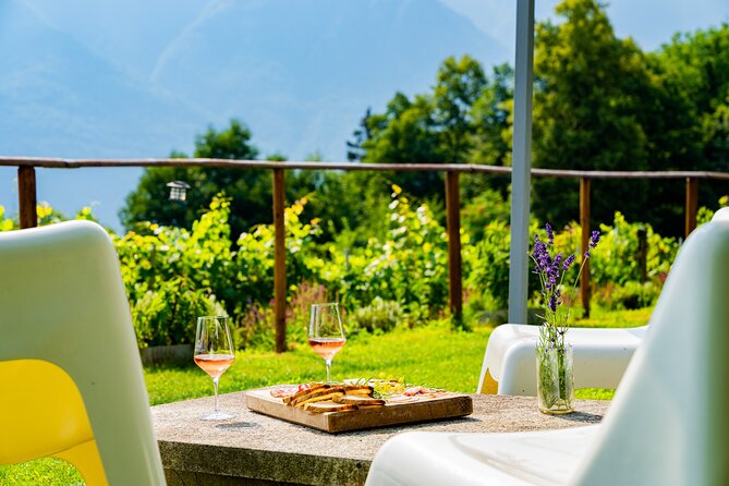 Savor Ossola Wines & Local Treats in a Scenic Vineyard - Vineyard Views and Local Flavor at Azienda Vitivinicola Edoardo Patrone