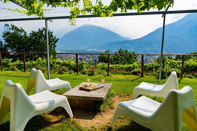 Savor Ossola Wines & Local Treats in a Scenic Vineyard - What You Taste: 3 Valli Ossolane DOC Wines With Real Food Pairings
