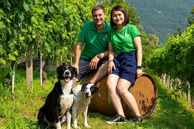 Savor Ossola Wines & Local Treats in a Scenic Vineyard - Views Over the Alps and Domodossola: Where the Photos Make Sense