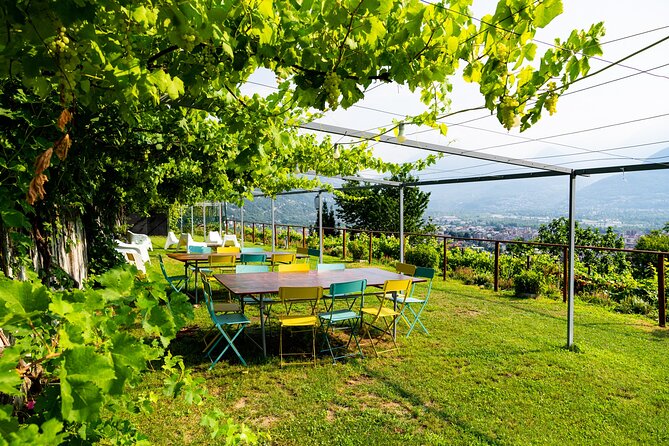 Savor Ossola Wines & Local Treats in a Scenic Vineyard - Meeting Edoardo and Stella: The Kind of Hospitality That Feels Personal