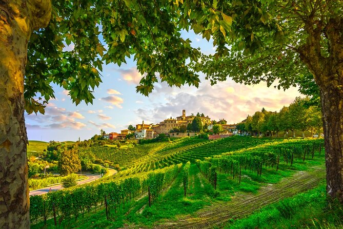 Small-Group Barolo Wine Tasting, Alba & UNESCO Piedmont Hills - Alba on Foot: San Lorenzo, Medieval Towers, and Truffle-Time Shopping
