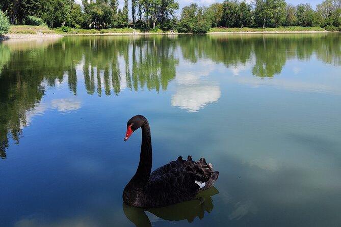 The Milan you don't expect, bike tour with picnic on the lake - Key things I think you’ll care about