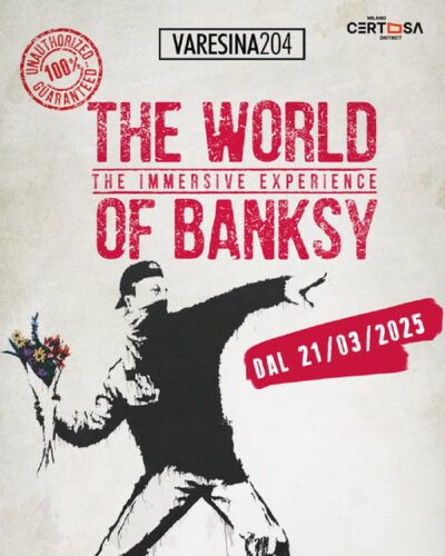THE WORLD OF BANKSY. THE IMMERSIVE EXPERIENCE - MILANO VARESINA 204 - Price and value: is $16 worth your time?