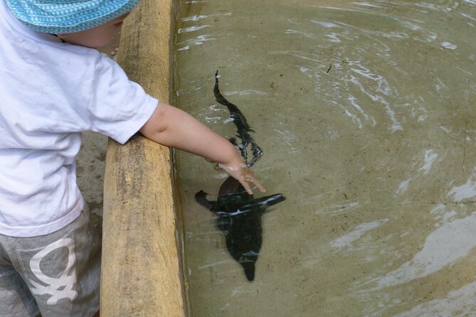 Ticket for Parco Ittico Paradiso at Zelo Buon Persico - Why This Fish Park Makes a Solid Day Trip From Lombardy