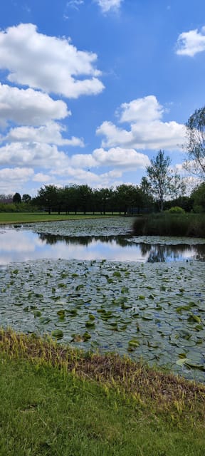 Trekking in the Wood with picnic on the turtles lake - Aperitivo, cheese tasting, and food moments along the way