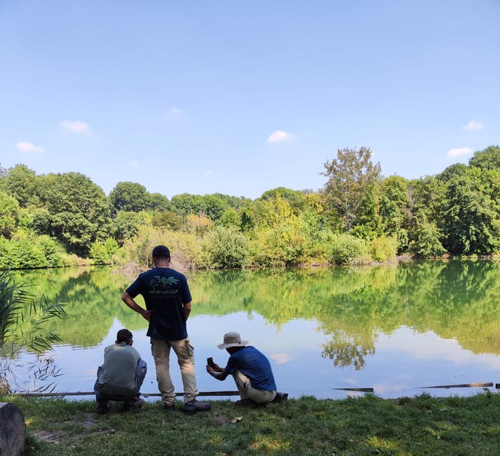 Trekking in the Wood with picnic on the turtles lake - Should you book? My straight answer