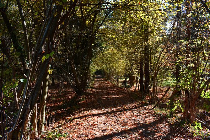 Val Senagra - The Enchanted Valley - The Senagra Valley’s quieter rhythm: why this area matters
