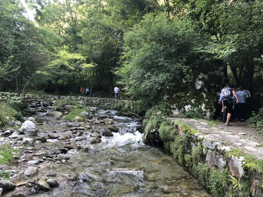 Val Senagra: The Enchanted Valley Tour - Family-Style Lunch Built From Local Products
